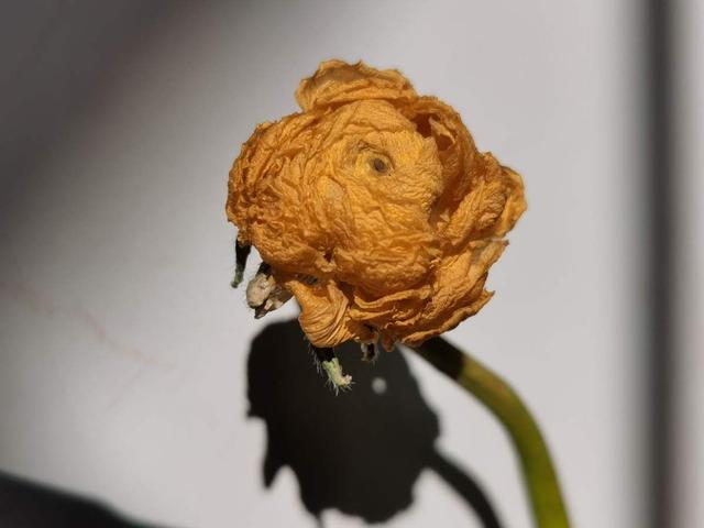 洗砂机出沙视频教程