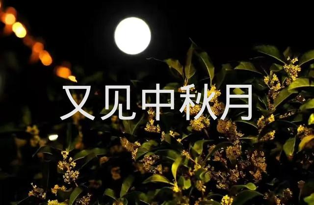 七律•中秋感怀