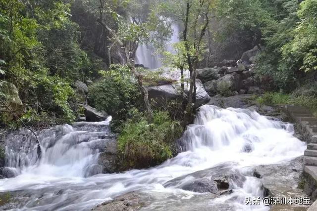 别总窝在家了！深圳这9座山风景超好！周末登山走起