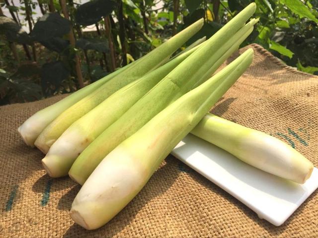 秋季养肺，遇到“水下三白”不要错过，入秋吃秋，顺利过秋季