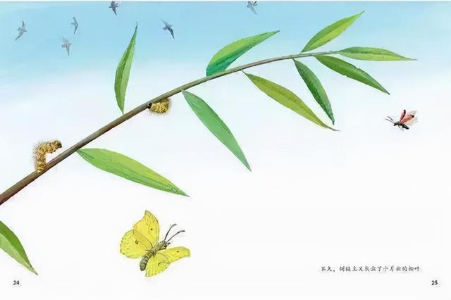 如何跟孩子讨论“死亡”？看看这3本适合秋天读的生命教育绘本