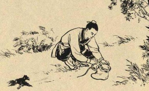 文章图片2