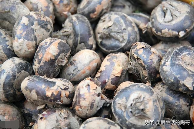 秋天少吃南瓜红薯，多吃水4宝，贴秋膘，防秋燥，开启健康养生