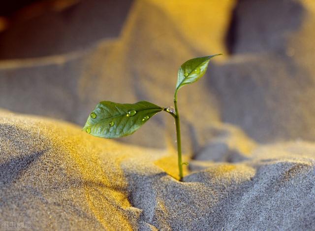 关于长寿村的共同点