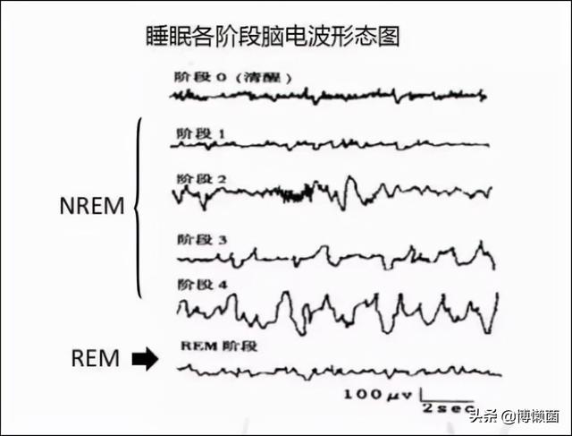 梦到吃苹果是什么意思