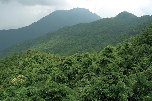 亚热带季风气候特点(亚热带季风气候特点图)