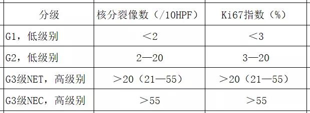 神经免疫组化检查什么意思