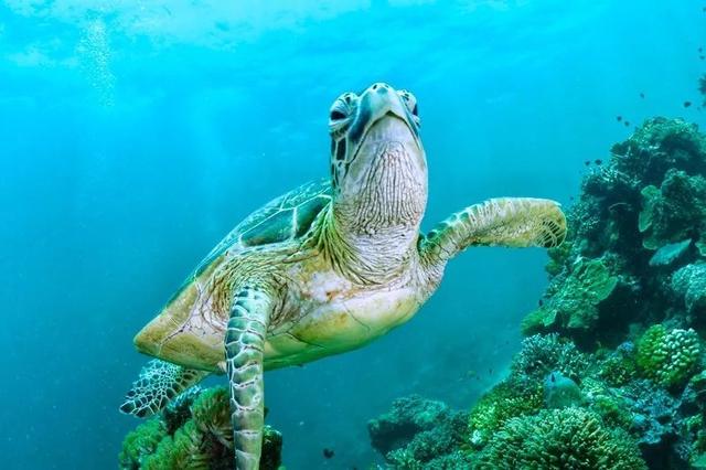 两大优势！美国将采用GPS替代品“地磁导航技术”多项技术未突破