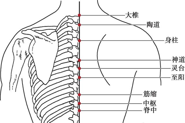 筋缩的准确位置图图片