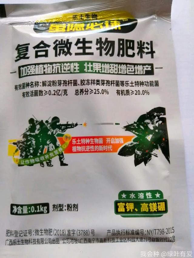 农民献计：稻飞虱的化学防治法，内有详细用药方案，防治效果显著14