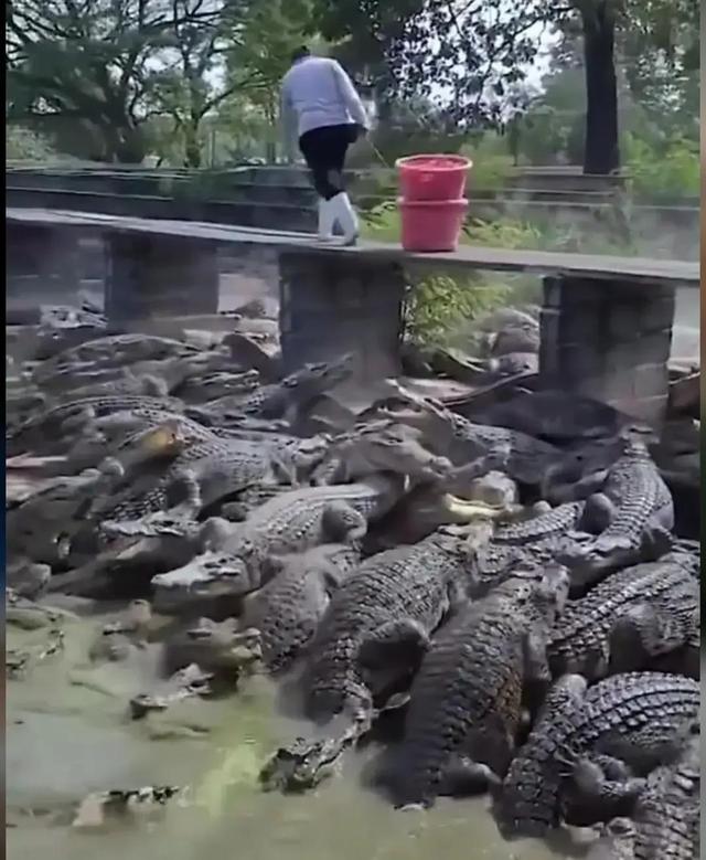 我这油耗，全网最低，吊打全网所有车，不服来上图，美系车还是牛