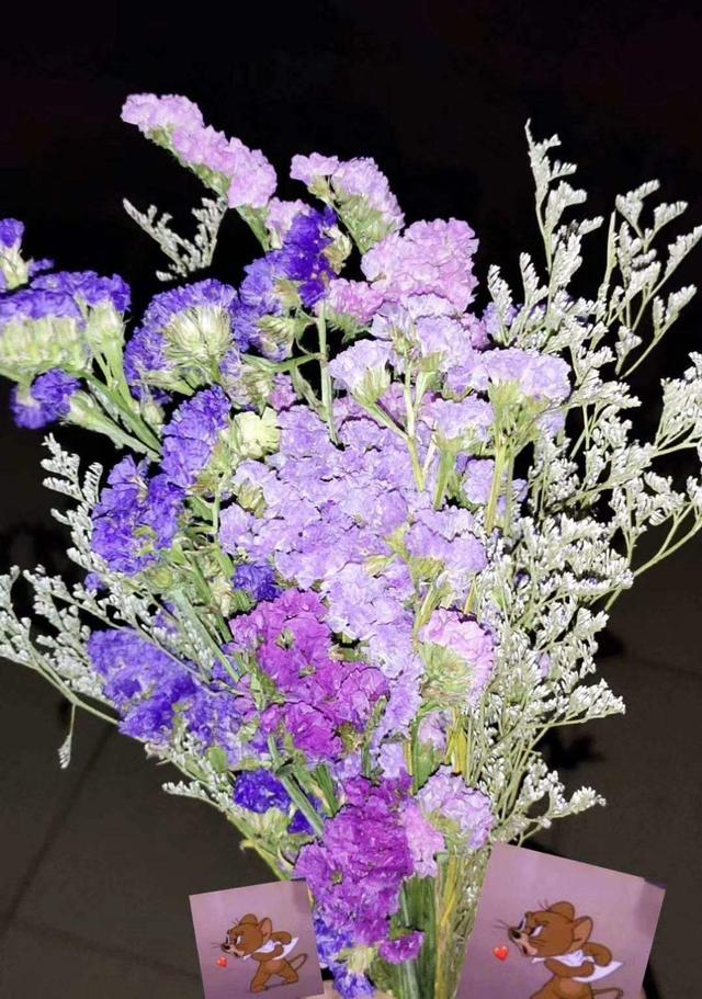 花卉名称