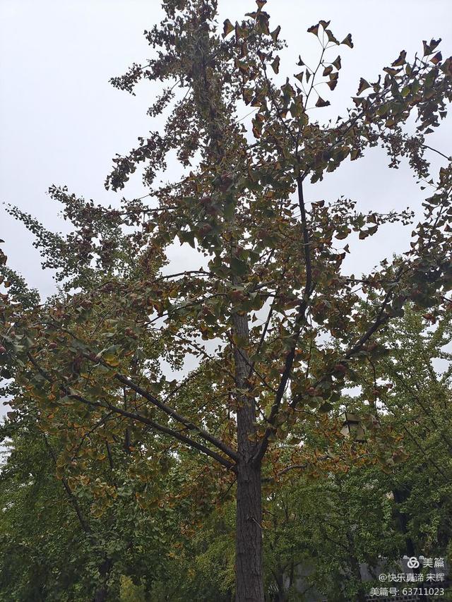 最好的教育是与孩子一起做她喜欢的事情