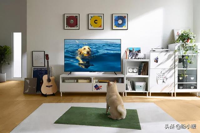 什么软件看电视剧都可以看(什么软件看电视剧全部免费)