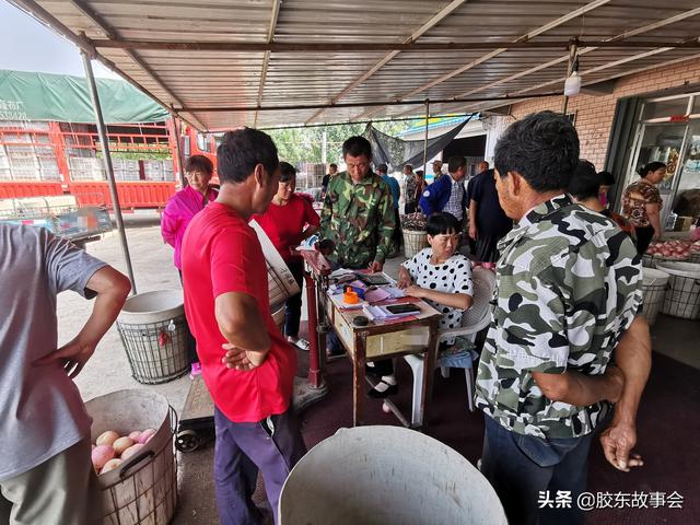 红将军和红星苹果陆续上市，看烟台海阳农村的收购场景7