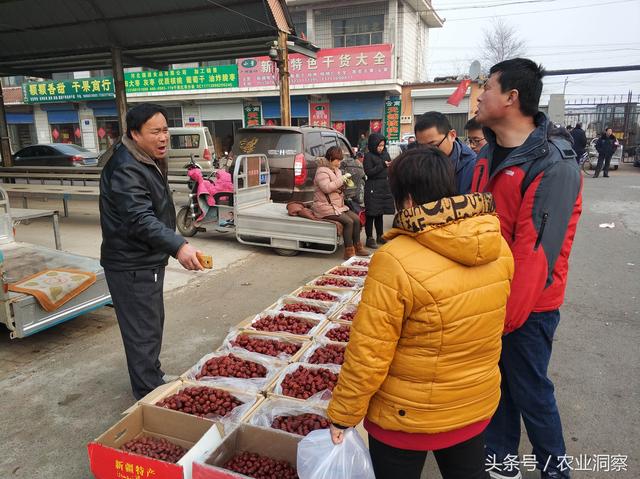 中国最大的红枣交易中心，原来就在这个农村小镇上！价格很便宜！3