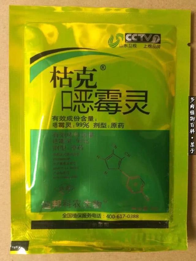 春天万物复苏，你的多肉杀虫杀菌了吗？20