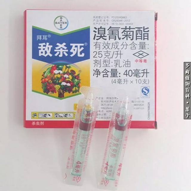 春天万物复苏，你的多肉杀虫杀菌了吗？14