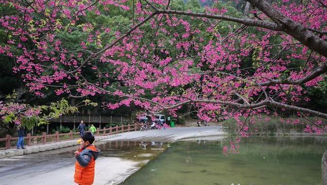 福州旅游景点大全