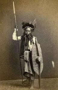 横扫南洋的蒙古大军为何最终以惨败收场？