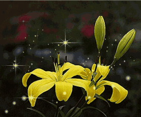 280_233gif 动态图 动图