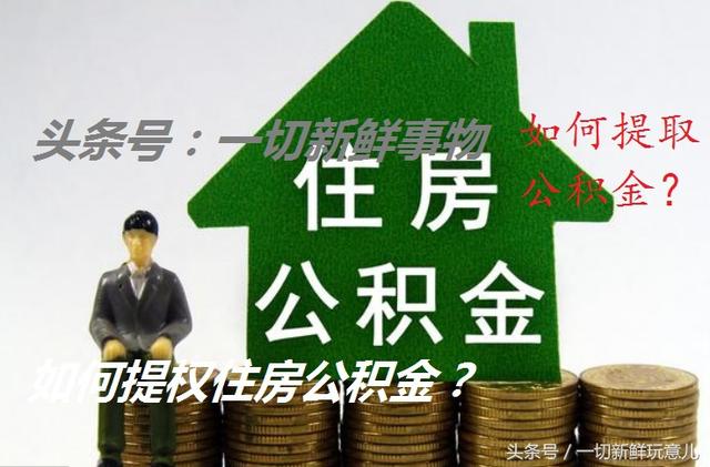 上海公积金怎么提取出来交房租「上海住房公积金租房提取流程」