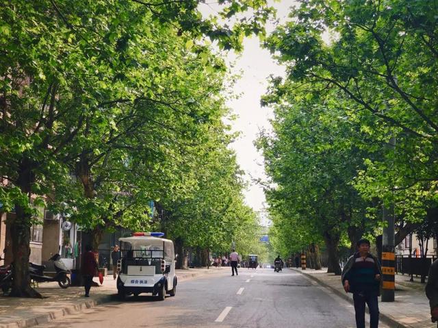 早上為什么涼面不好賣？為什么家里做的涼面不香，你知道幾個？長知識