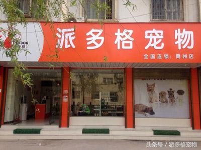 加盟宠物店要多少钱