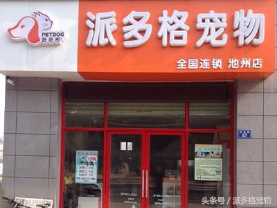 开个宠物店要多少钱 开个宠物店要多少钱（梦幻西游开个宠物店要多少钱） 动物