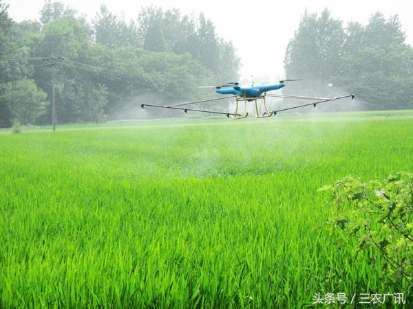 农技问答：水稻二化螟如何防治？