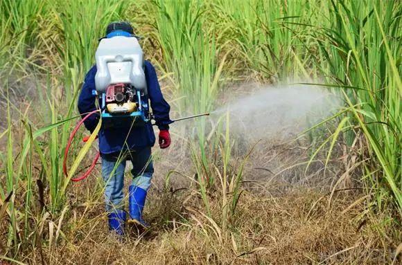 14种除草剂介绍 看完不出药害2