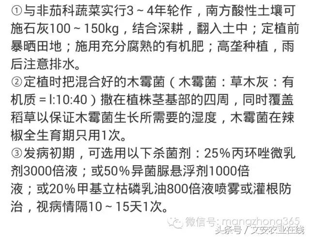 辣椒19种病害图谱及防治方法15