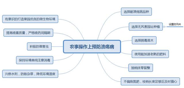 柑橘溃疡病综合防治技术及常用药剂详细分析，太全了！26