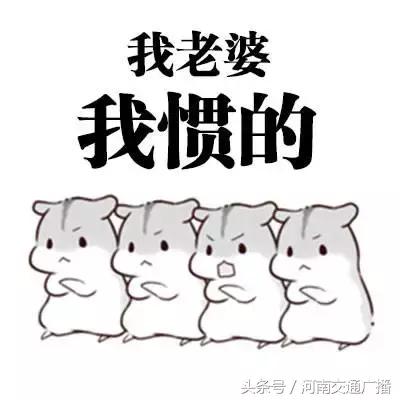 女生给u盘什么意思