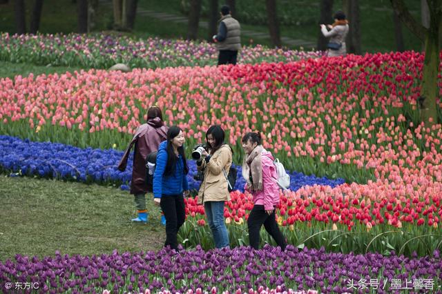 兰陵美酒郁金香下一句 兰陵美酒郁金香下一句（兰陵美酒郁金香全诗） 生活