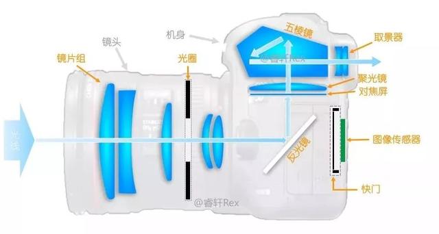 单反是什么意思