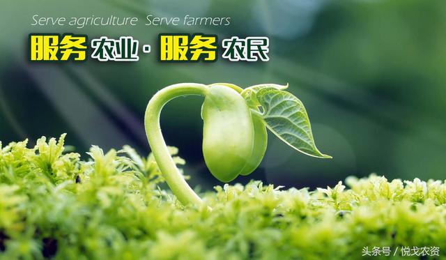 2018全国植保会机械展