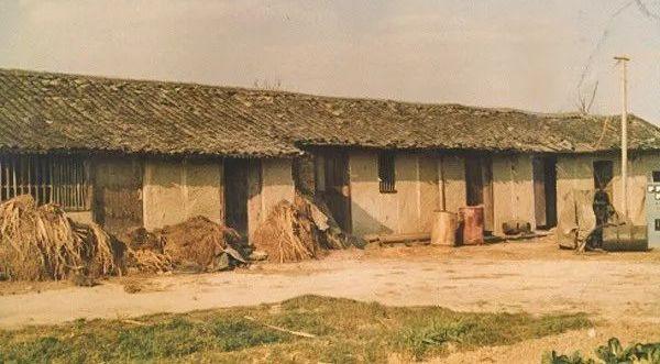 杨子第六代过滤机