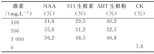 银鹊树扦插繁殖试验技术研究2