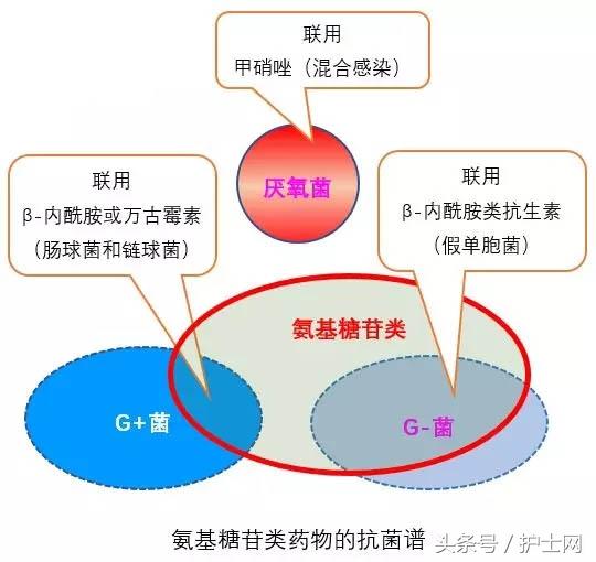 庆大霉素