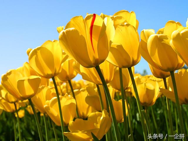微信营销之朋友圈营销方法