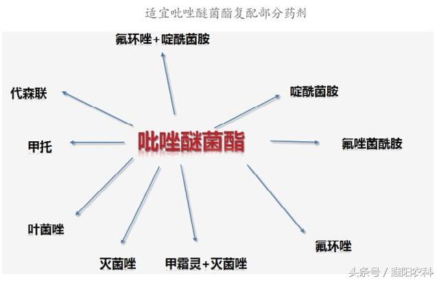 病害治不住，就用它，效果超好