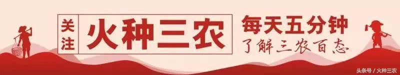 「果农必看」苹果树全年病虫害防治大全