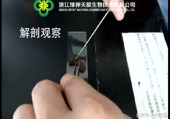 胶州智能压滤机