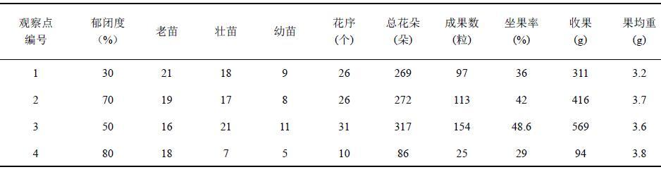 沧源搅拌洗砂机出售