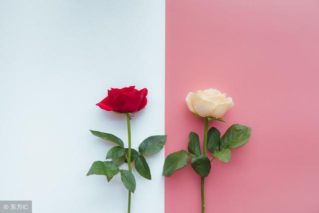 [苹果小天鹅删除朋友圈]，被对方拉黑教你一招挽回