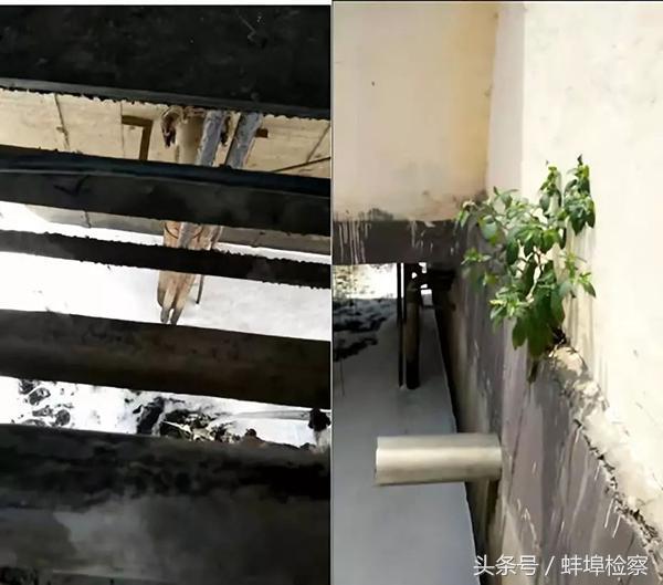 蚌埠不锈钢压滤机