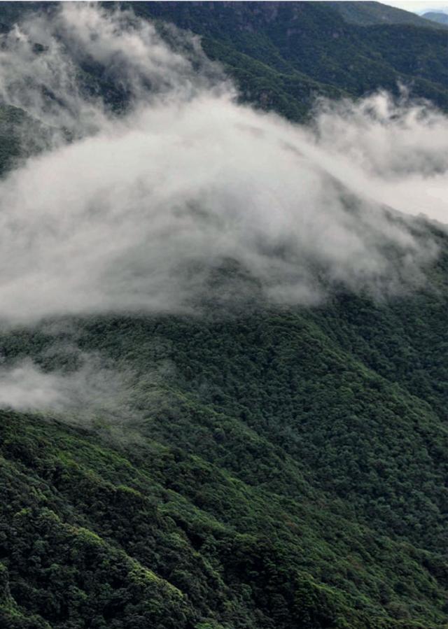 梵净山在哪