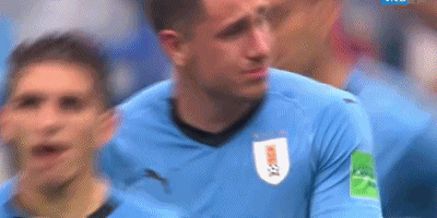 乌拉圭世界杯（乌拉圭世界杯让人落泪一幕）(4)