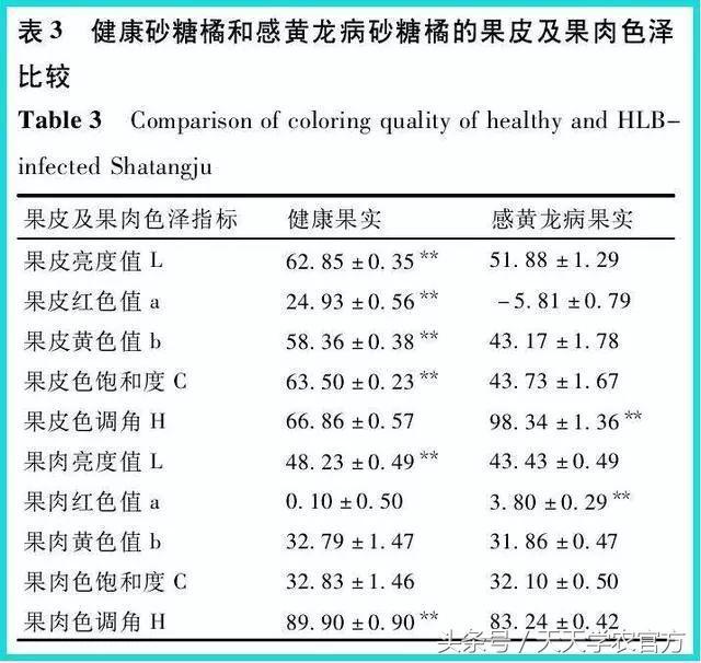 一株柑橘染病，四年毁园！染上黄龙病之后，柑橘树只能砍掉？5